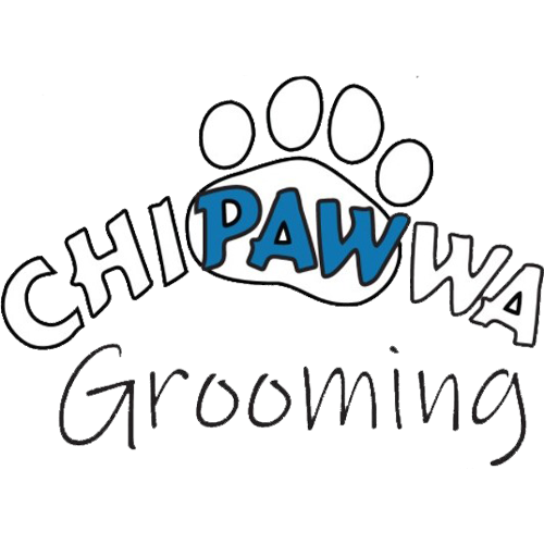 Chipawwa Grooming